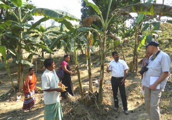 IGDC project extended till December 2016 IGDC project extended till December 2016